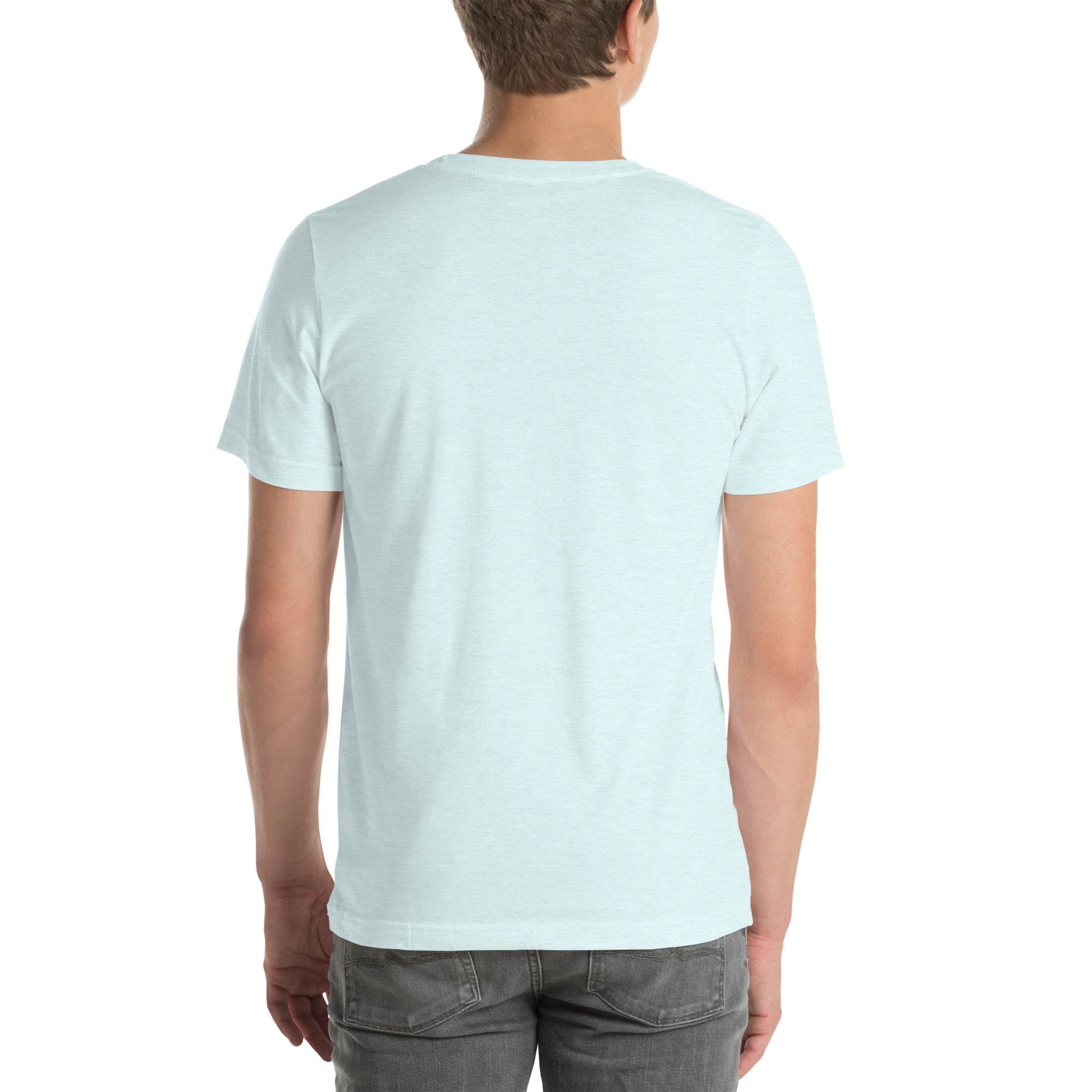 unisex-staple-t-shirt-heather-ice-blue-back-67f955da8b41a.jpg